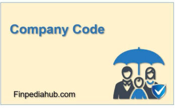 What Is a Company Code