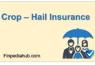 What Is Crop-Hail Insurance