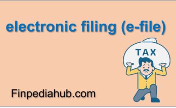 What Is Electronic Filing (e-file)