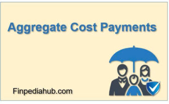 What Are Aggregate Cost Payments