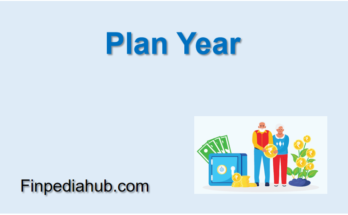 Plan Year