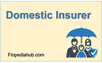 What Is a Domestic Insurer
