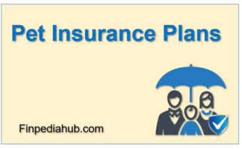 What Are Pet Insurance Plans