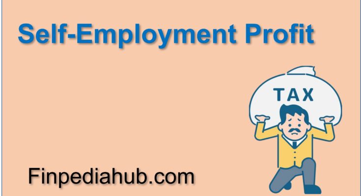 What Is a Self-Employment Profit