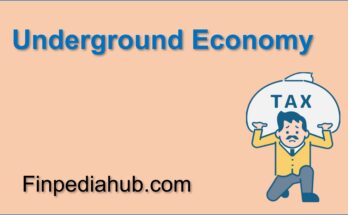 What Is the Underground Economy
