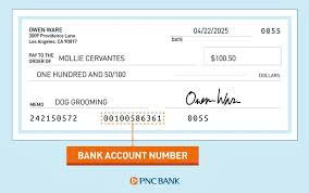 What Is a Bank Account Number? A Simple Explanation