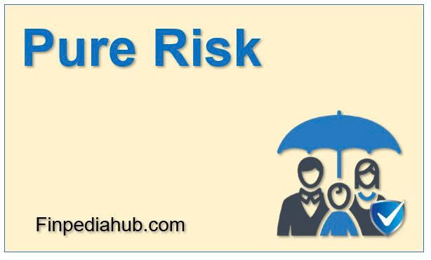 What Is Pure Risk