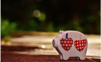 Savings Accounts vs Money Market Accounts: Which One Should You Choose?