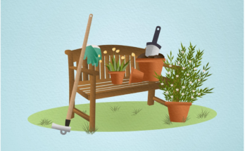 How Long Does It Really Take for a Check to Clear?