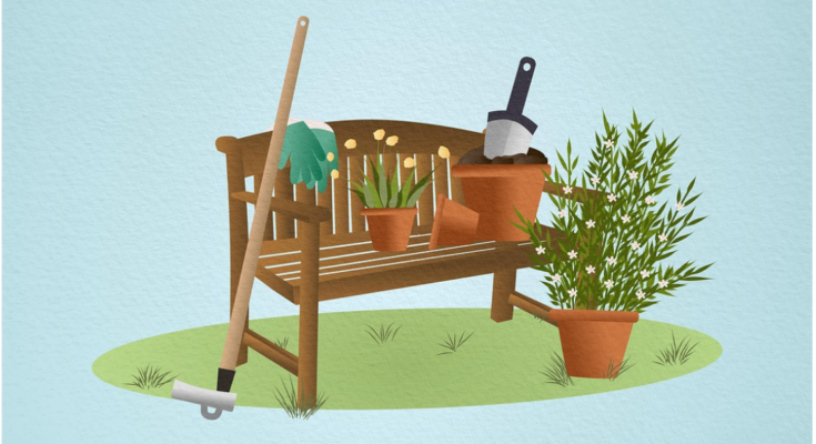 How Long Does It Really Take for a Check to Clear?